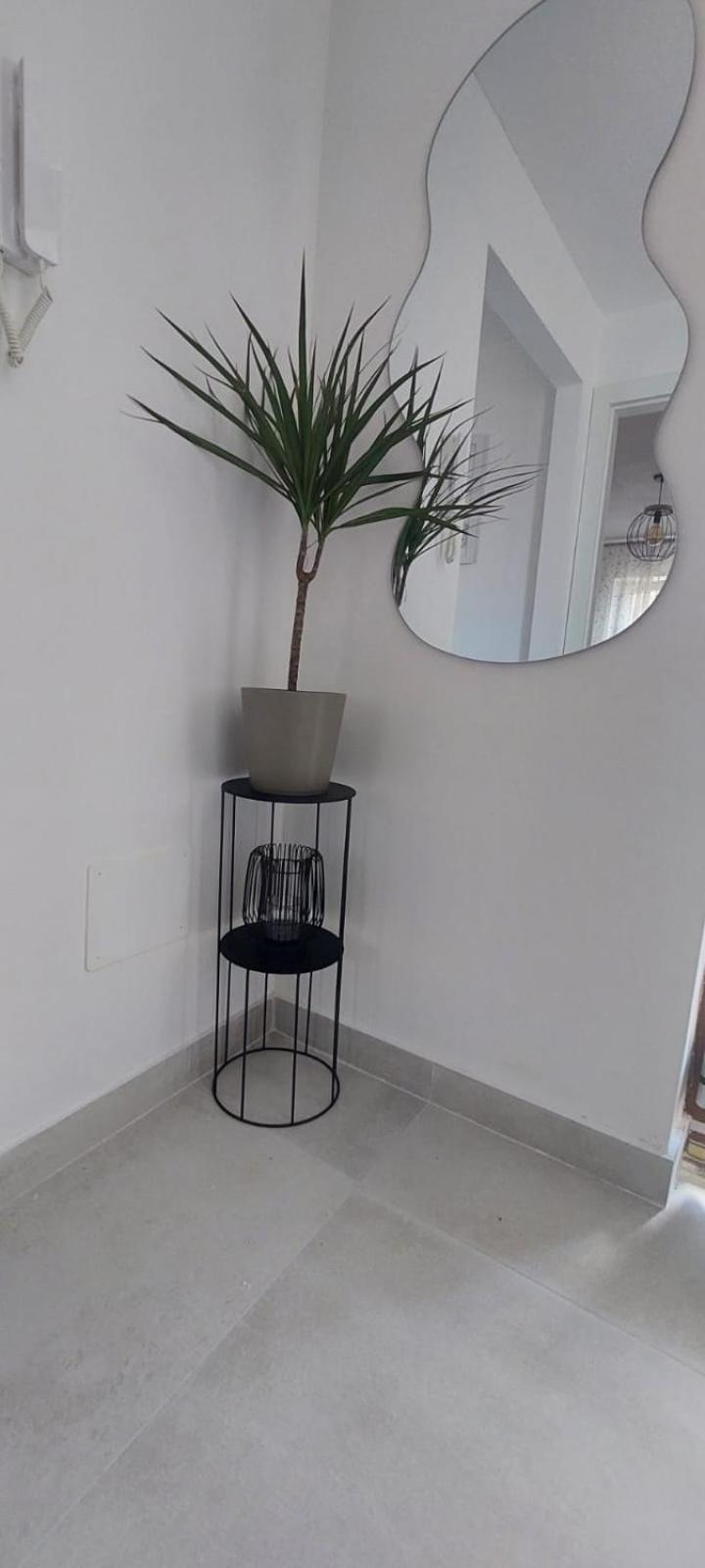 Apartment Olive Kaštela Εξωτερικό φωτογραφία